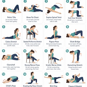 Op de afbeelding: Een instructiekaart getiteld Sciatica Pain Relief Exercises met 16 genummerde illustraties van een persoon in blauwgroene en donkerblauwe sportkleding die verschillende rekoefeningen uitvoert met beschrijvende tekst bij elke oefening.