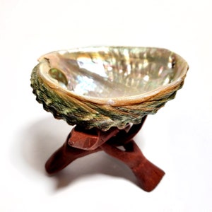 Sage Smudge Bowl with Natural & Wood Cobra Stand for Burning Sage or for Palo Santo Bowl, Energy Clearing, 3-4 Abalone Shell image 2