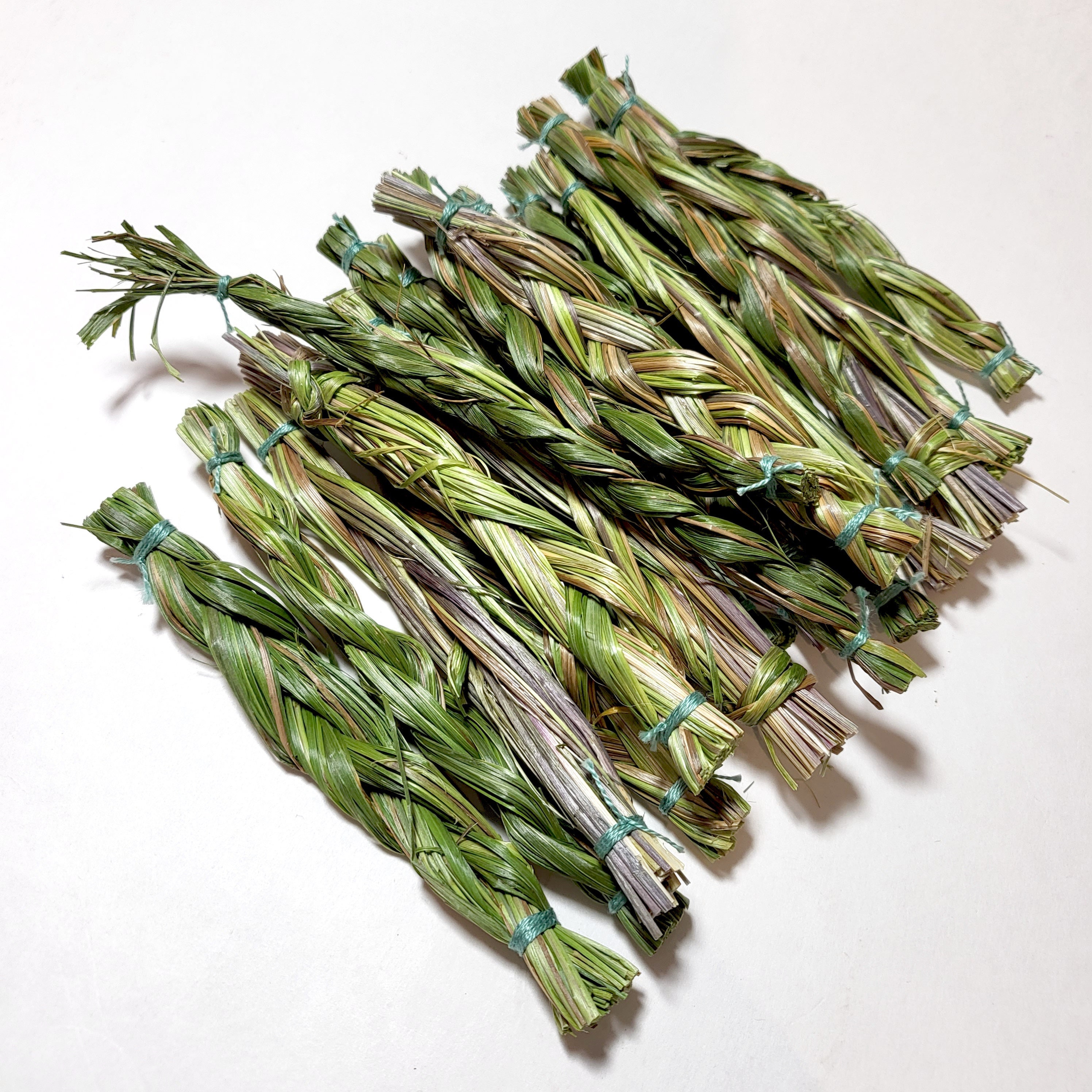 Many Native tribes in North America use sweetgrass in prayer, smudging or  purifying ceremonies and consider it a sacred plant.