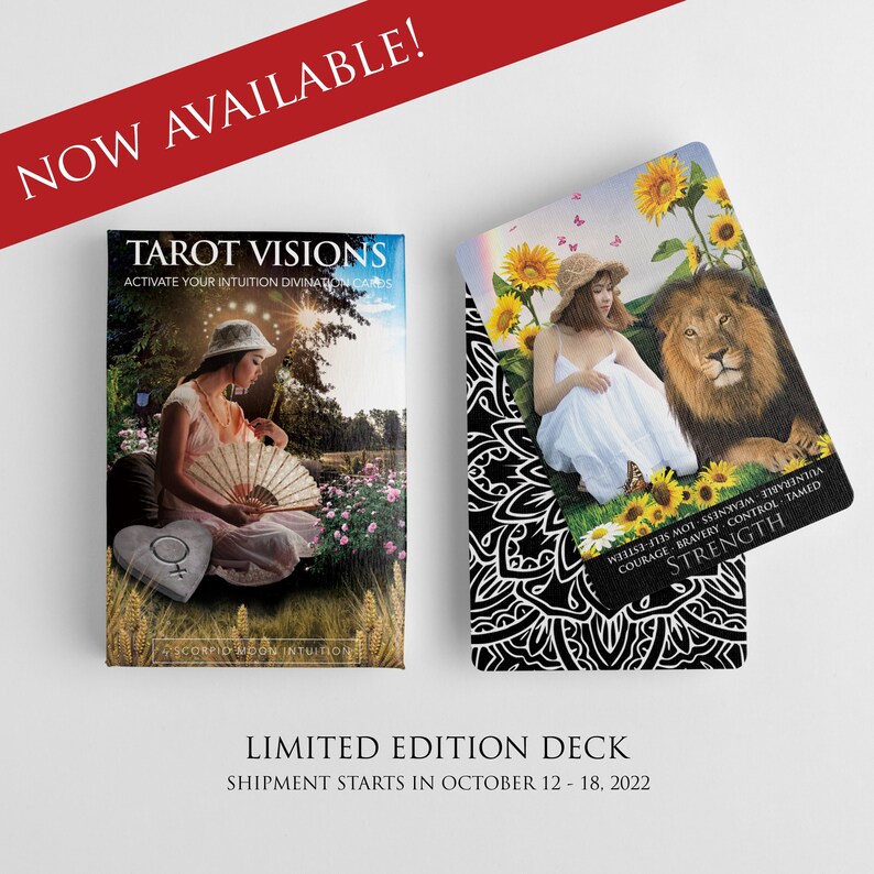 Tarot Visions 78 Cards With Upright/reverse Meanings for Etsy