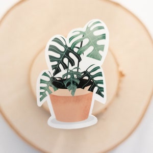 Monstera Deliciosa Aufkleber, PflanzenSticker, Indoor Pflanzen Sticker, Monstera, Pflanzenliebhaber, Pflanzenmama, Beste Freundin Geschenk
