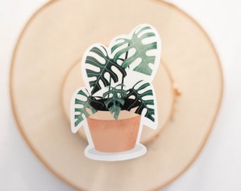 Monstera Deliciosa Sticker , Plant Sticker, Indoor Plant Sticker, Monstera, Plant Lover, Plant Mom, Best Friend Gift