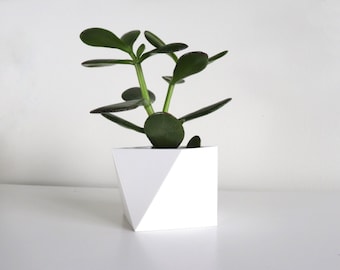 MIRABEL | Eco-friendly Indoor Planter Pot and Storage Container | Minimalist Design for Plants and Flowers | Shatterproof