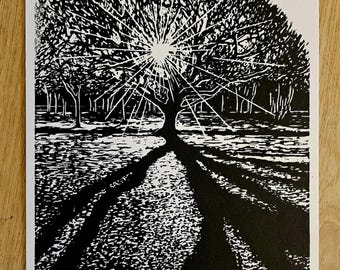 Puede incluir: Grabado en linóleo en blanco y negro de un árbol con luz radiante. Las ramas y hojas del árbol están detalladas, con un efecto de estallido solar brillante que emana del centro. La sombra del árbol se extiende por el suelo.