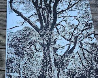 Puede incluir: Una impresión en blanco y negro que presenta una ilustración gráfica de alto contraste de un árbol grande y maduro con ramas extendidas y un tronco texturizado, sobre un fondo de bosque denso con follaje detallado y hierba en primer plano.