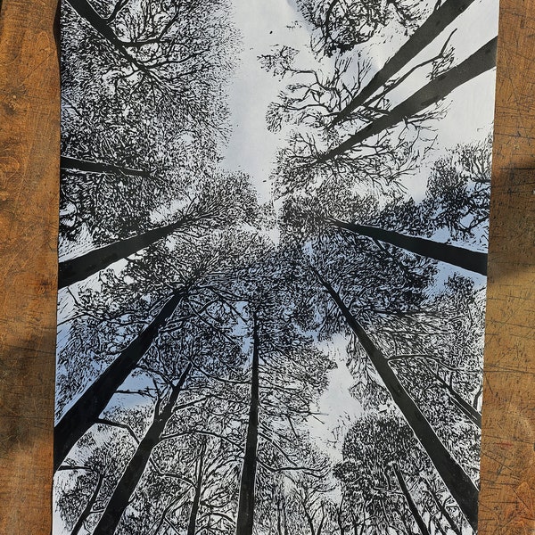 Looking up Through the Pines/very large original lino print/landscape art print/nature/forest lino print/Wall art/well-being art print