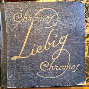 Álbum Chromos Liebig/Liebig Países Bajos/Álbum de los años 50 y 60/Serie 50 - 300 fotografías