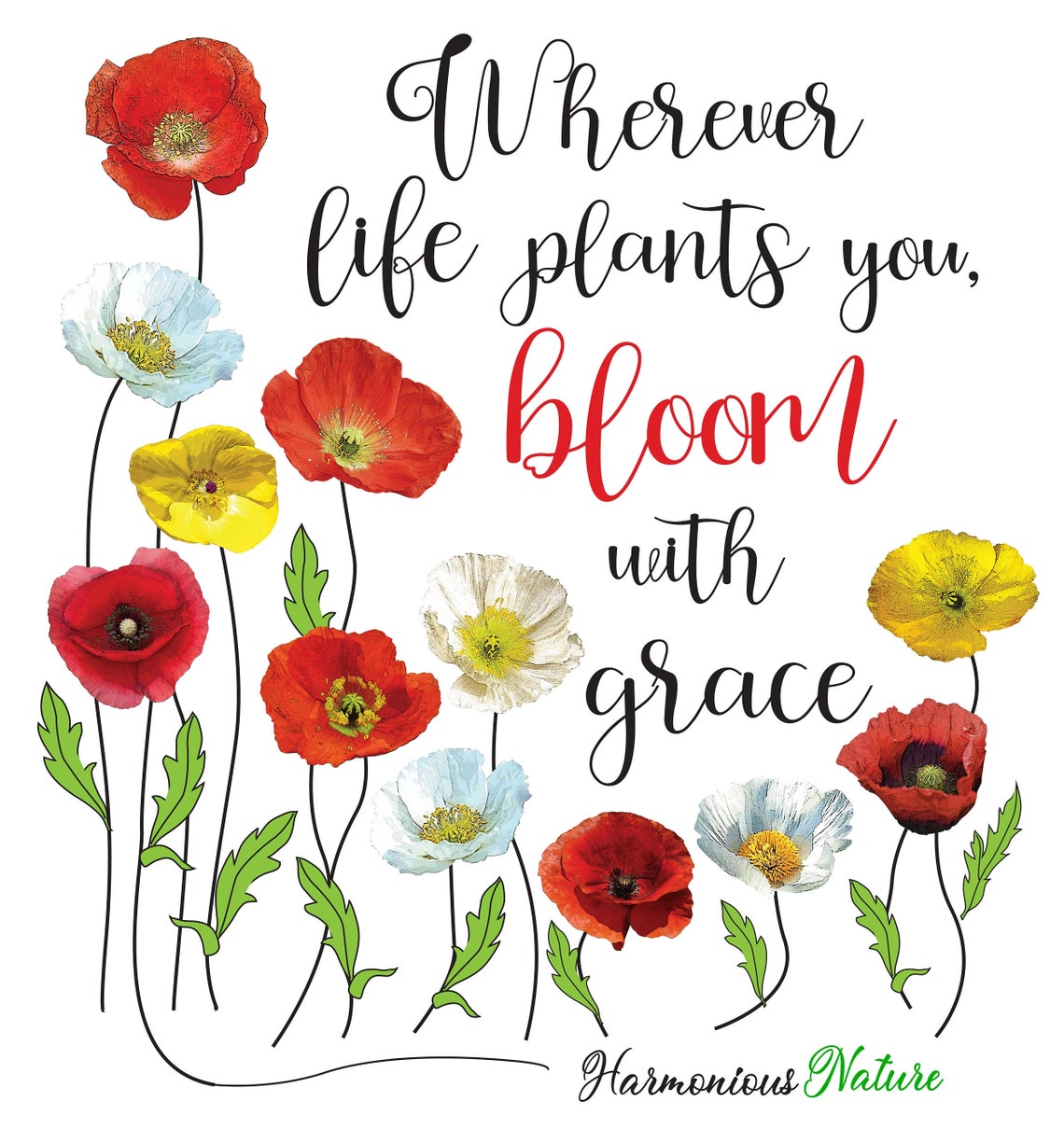 Wherever Life Plants You, Bloom With Grace Quote Encouraging Example of
