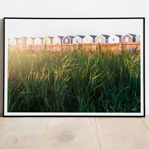 Southwold Beach Huts East Suffolk - Fotografia paesaggistica, stampa fotografica, belle arti, grande quadro incorniciato, tela, poster, cartolina, canne