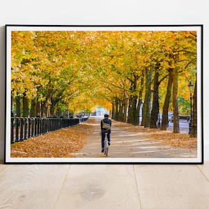 Stampa autunnale di Londra - Green Park Photography, Constitution Hill, decorazioni autunnali per la casa, Inghilterra, arte murale britannica, decorazioni per ufficio, stampa fotografica