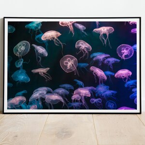 Impresión de medusas brillantes - Fotografía de vida marina, foto submarina, lienzo estirado, bellas artes, arte mural original, postal, cuadro enmarcado