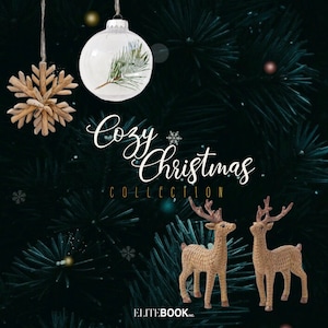 Gezellige kerstcollectie ZINE van EliteBook Inc. | Digitale stickers, clipart, Goodnotes-stickers, digitale plannerstickers