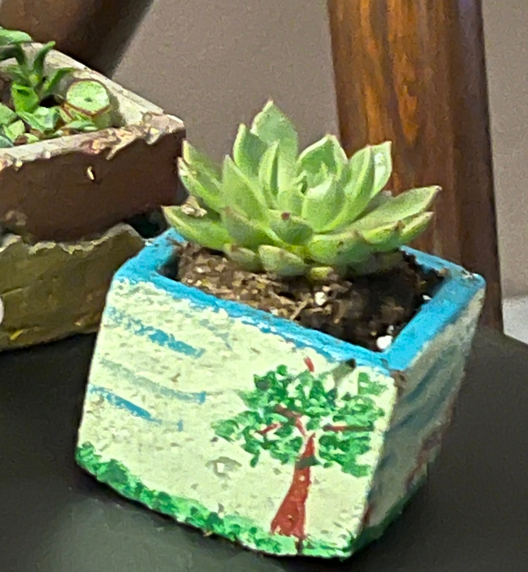 Simple Cement or Air Clay Pot & Plant Etsy