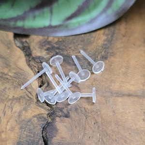 May include: A selection of clear, plastic earring posts with flat, circular backs. The posts are scattered on a textured, wooden surface, with a blurred green and brown plant in the background. The earring posts are small and translucent.