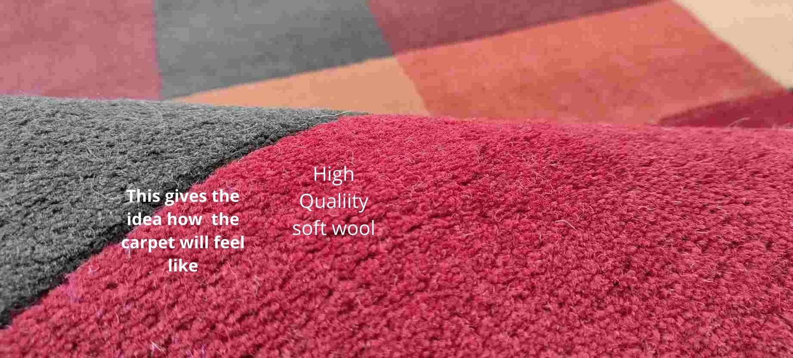 Kids Dog Rug Tufted Wool Carpet Dog Motif Thick Pile Soft Rug | Etsy