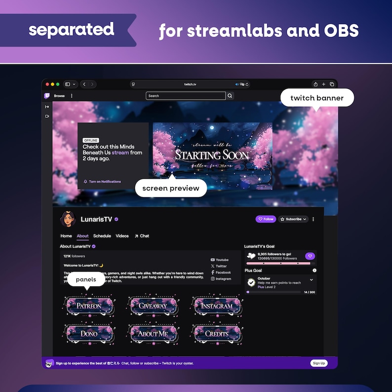 Starlit Pagoda Animated Stream Overlay Pack for Twitch, Kick, Youtube/Sakura Cherry Blossom/Japanese Theme/Aesthetic/Pink/Blue/Panels/Alerts image 8