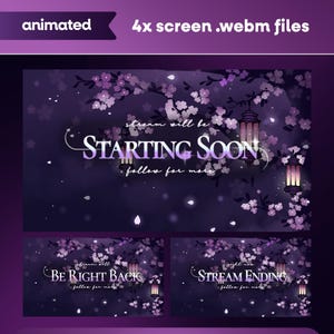 Geanimeerde Lanterns in the Blooms Stream-schermen: dromerige paarse Sakura voor Twitch en OBS/Streamlabs
