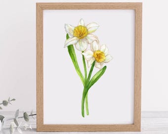 Daffodil Art Print or Poster: March Birth Flower Watercolor