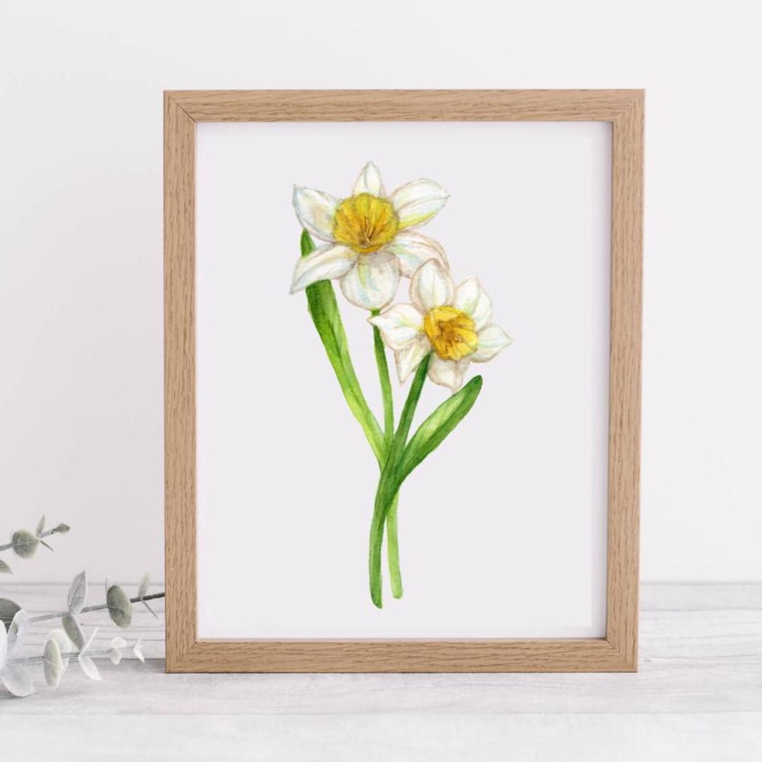 White and Yellow Daffodil Art Print | March Birth Flower Art Print ...