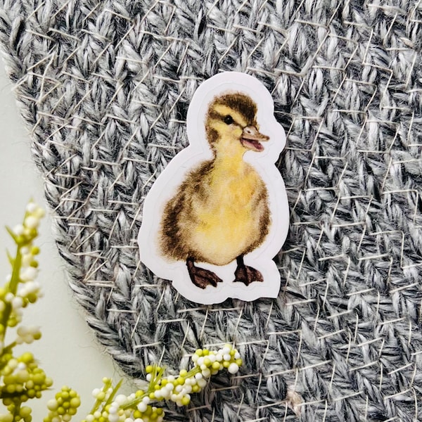 Spring Duckling Sticker | Easter duck sticker, watercolor ducky sticker, baby duck sticker, spring decal, water bottle sticker