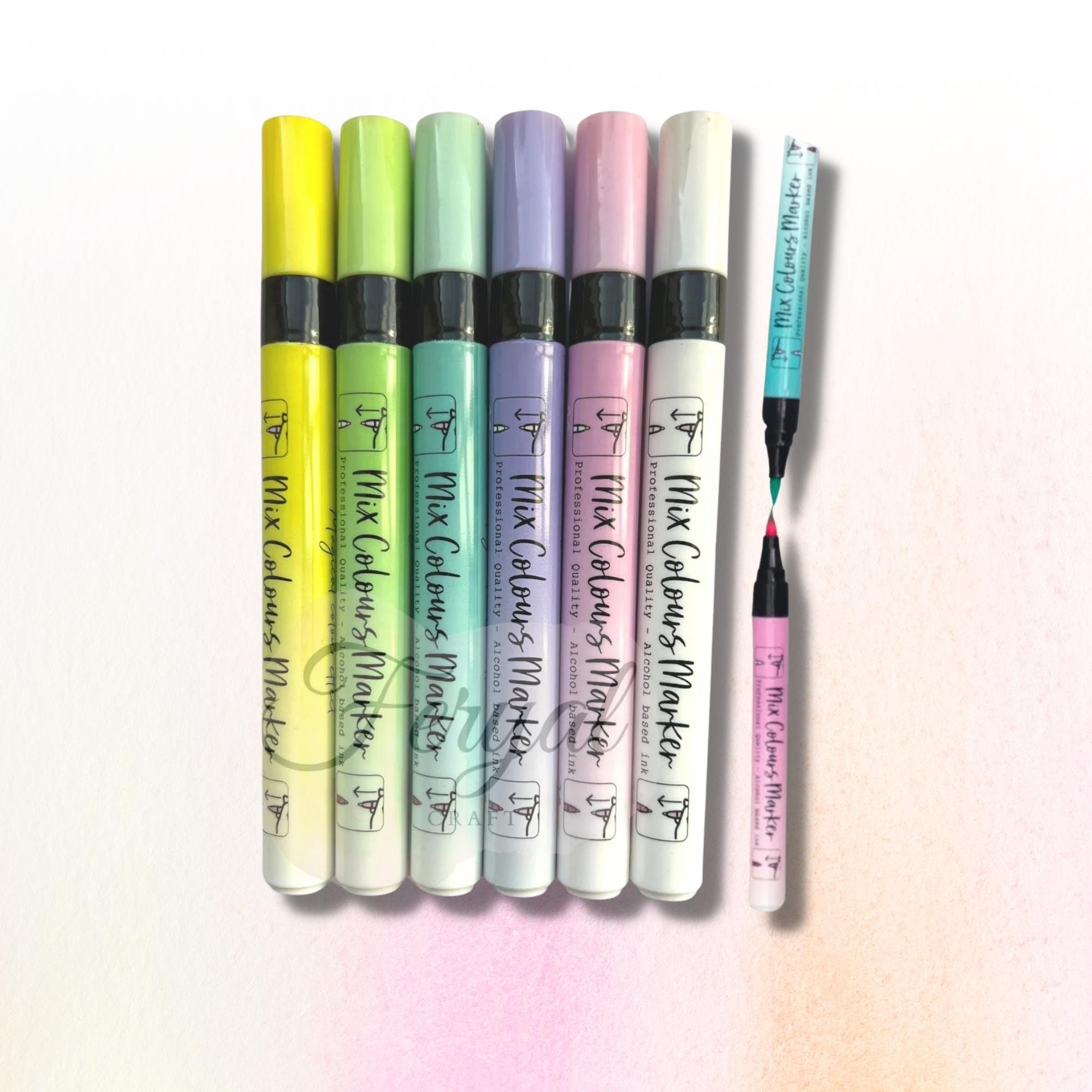 FIXSMITH 24/48 Colors Journaling Pens Dual Tip Brush Pens Art 