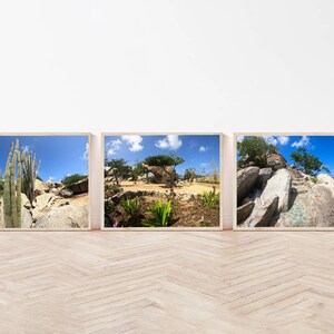 Op de afbeelding: Set van drie ingelijste landschapsprints. Elke print toont een levendige buitenscène met cactussen, rotsformaties en weelderig groen onder een helderblauwe lucht. De frames zijn licht van kleur, wat een natuurlijk tintje geeft.