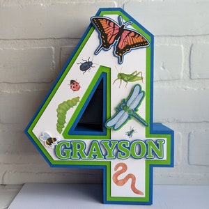 Insect Birthday Party Decoration | Boys Bugging Out Birthday ...