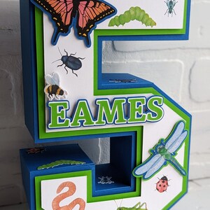 Insect Birthday Party Decoration | Boys Bugging Out Birthday ...