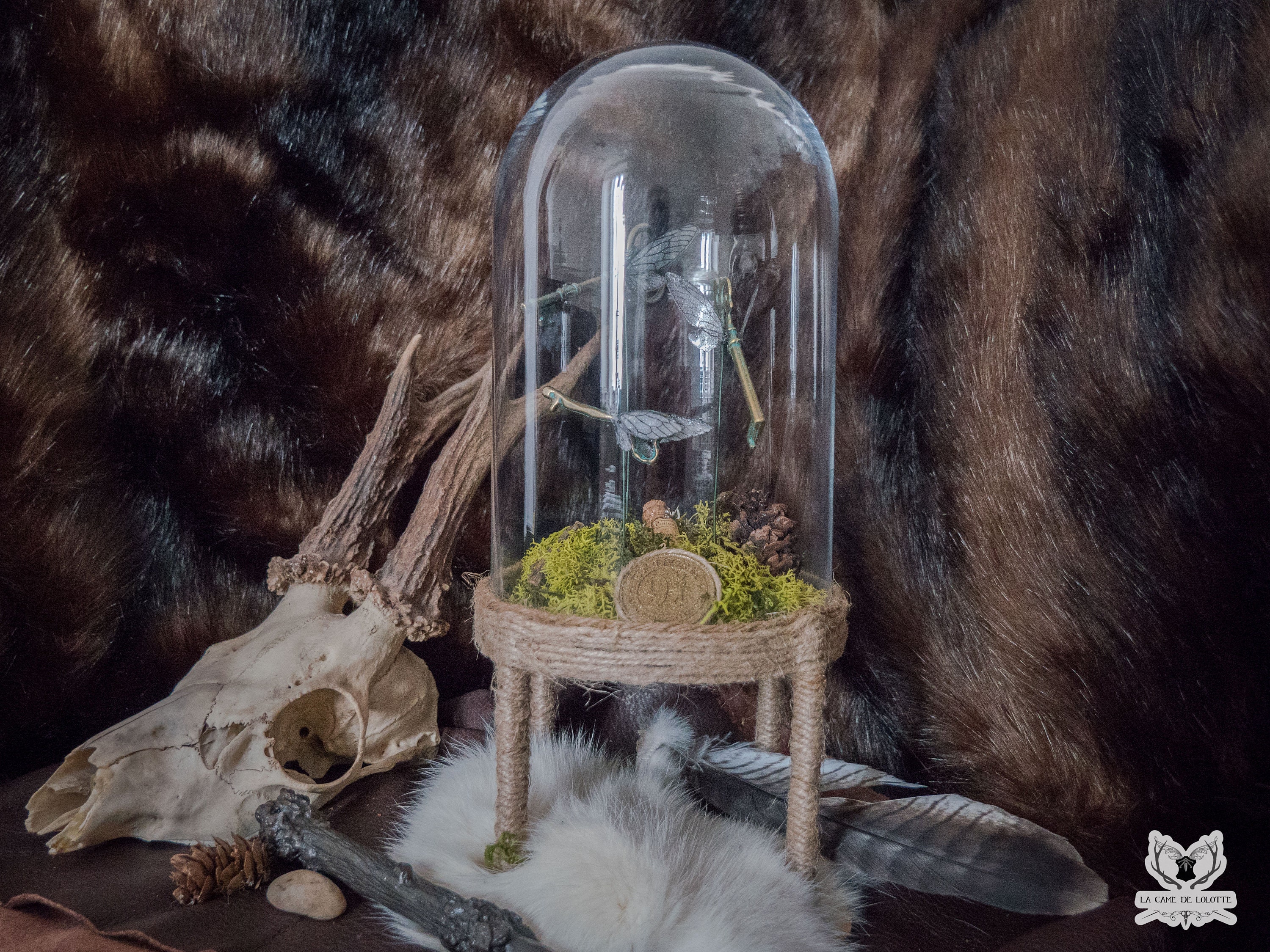 Clefs Volantes Magiques Dans Cloche en Verre