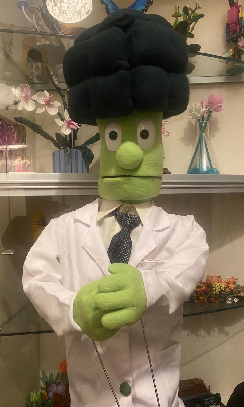 Custom Handmade Character Look-alike Puppet Live Hands or Arm Rods - Etsy