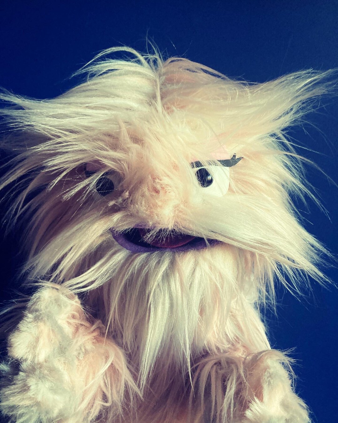 Custom Handmade Character Puppet Live Hands or Arm Rods Furry Monster ...
