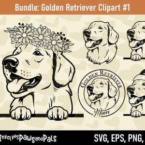 Espiando o clipart SVG do Golden Retriever #1 | Espiando SVG Dourado | Laboratório Retriever PNG | Clipart de Golden Retriever | Licença comercial