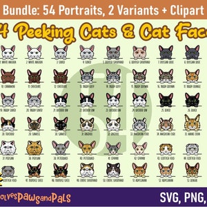 Lot de cliparts chat | Ensemble SVG couleur chat furtif - 54 portraits de chat | Comprend Scottish Fold, Persan, Chat noir | Licence commerciale