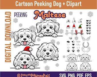 Peeking Maltese SVG | Peeking Dog SVG | Cartoon Maltese PNG and Clipart | Commercial License