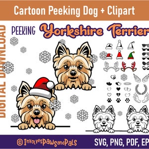 Spähen Yorkie SVG | Spähender Hund SVG | Cartoon Yorkshire Terrier PNG und Clipart | Kommerzielle Lizenz