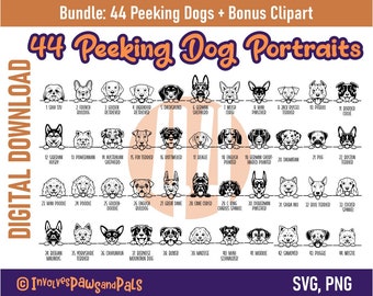 Ensemble SVG chien furtif - 44 races de chiens | Dessin animé mignon chien PNG, y compris Goldendoodle, Maltais, Lab Retriever | Licence commerciale
