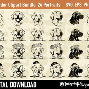 Gluren Labrador Retriever SVG | Gluren Lab SVG | Labretriever PNG | Labrador Clipart | Commerciële licentie