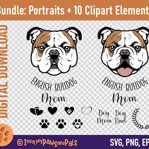 Bulldog SVG et PNG Bundle | Portrait SVG en couches de bouledogue anglais |  Dessin vectoriel Dog Mom | Digital Dog Face - Licence commerciale