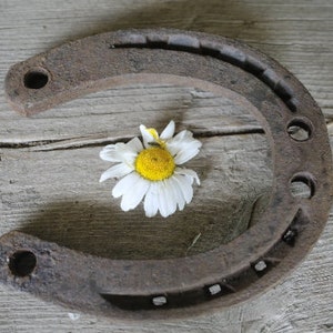 Horseshoe wedding good luck symbol cowboy decor rusty horseshoe farmhouse decor industrial decor lucky horseshoe old horseshoe
