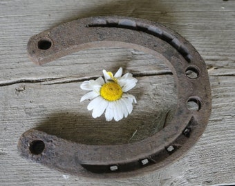 Horseshoe wedding good luck symbol cowboy decor rusty horseshoe farmhouse decor industrial decor lucky horseshoe old horseshoe