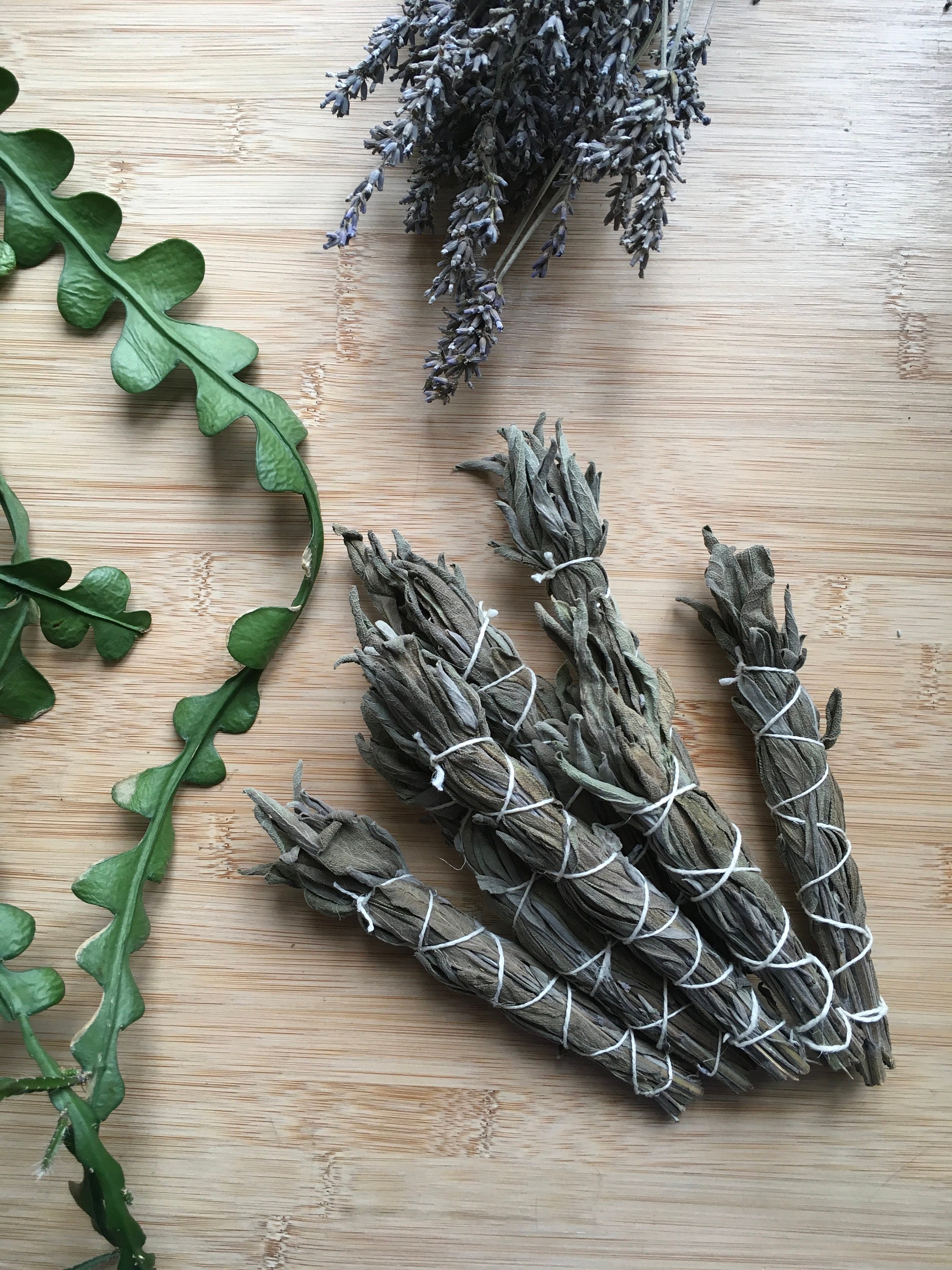 Sauge Blanche Bâton de Fumigation Purification Fait Main Île France Smudge Stick Rituel Sauge Énergi