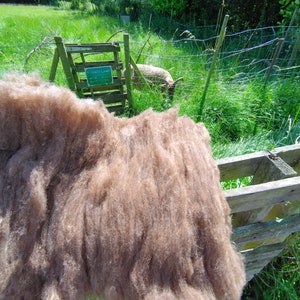 Castlemilk carded raw wool