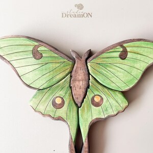 K&ouml;nnte beinhalten: Eine Wandskulptur aus Holz, die einen gr&uuml;nen Luna-Motte mit braunen Akzenten darstellt. Die Fl&uuml;gel des Falters sind mit gr&uuml;nen und braunen Adern verziert und haben auf jedem Fl&uuml;gel einen goldgelben Augenfleck.