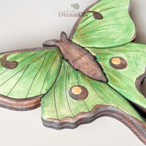 K&ouml;nnte beinhalten: Eine Wandskulptur aus Holz, die einen gr&uuml;nen Luna-Motte mit braunen Akzenten darstellt. Der Falter hat gro&szlig;e Fl&uuml;gel mit augenartigen Markierungen.