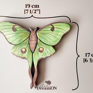 K&ouml;nnte beinhalten: Gr&uuml;ner und brauner Holzausschnitt eines Luna-Falters mit einer Fl&uuml;gelspannweite von 19 cm und einer H&ouml;he von 17 cm. Der Luna-Falter ist ein beliebtes Symbol f&uuml;r Transformation und Wiedergeburt.