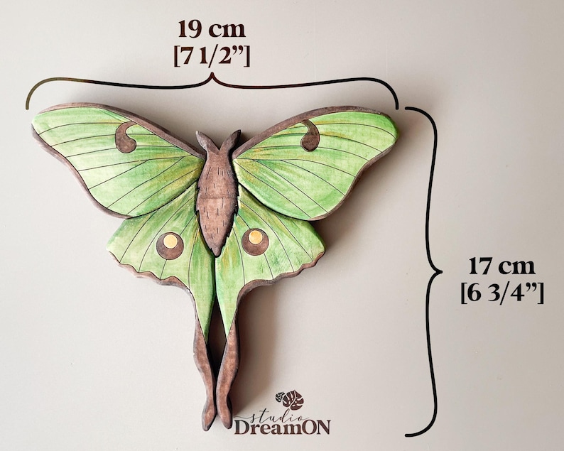 K&ouml;nnte beinhalten: Gr&uuml;ner und brauner Holzausschnitt eines Luna-Falters mit einer Fl&uuml;gelspannweite von 19 cm und einer H&ouml;he von 17 cm. Der Luna-Falter ist ein beliebtes Symbol f&uuml;r Transformation und Wiedergeburt.
