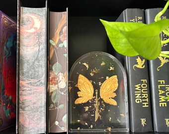 Autumn Gold Butterfly King