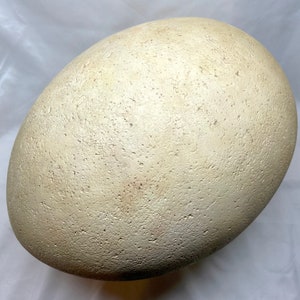 May include: A large, oval decorative egg with a textured, off-white surface. The egg has a slightly rough appearance with subtle colour variations, suggesting a natural material. The egg is a decorative item.