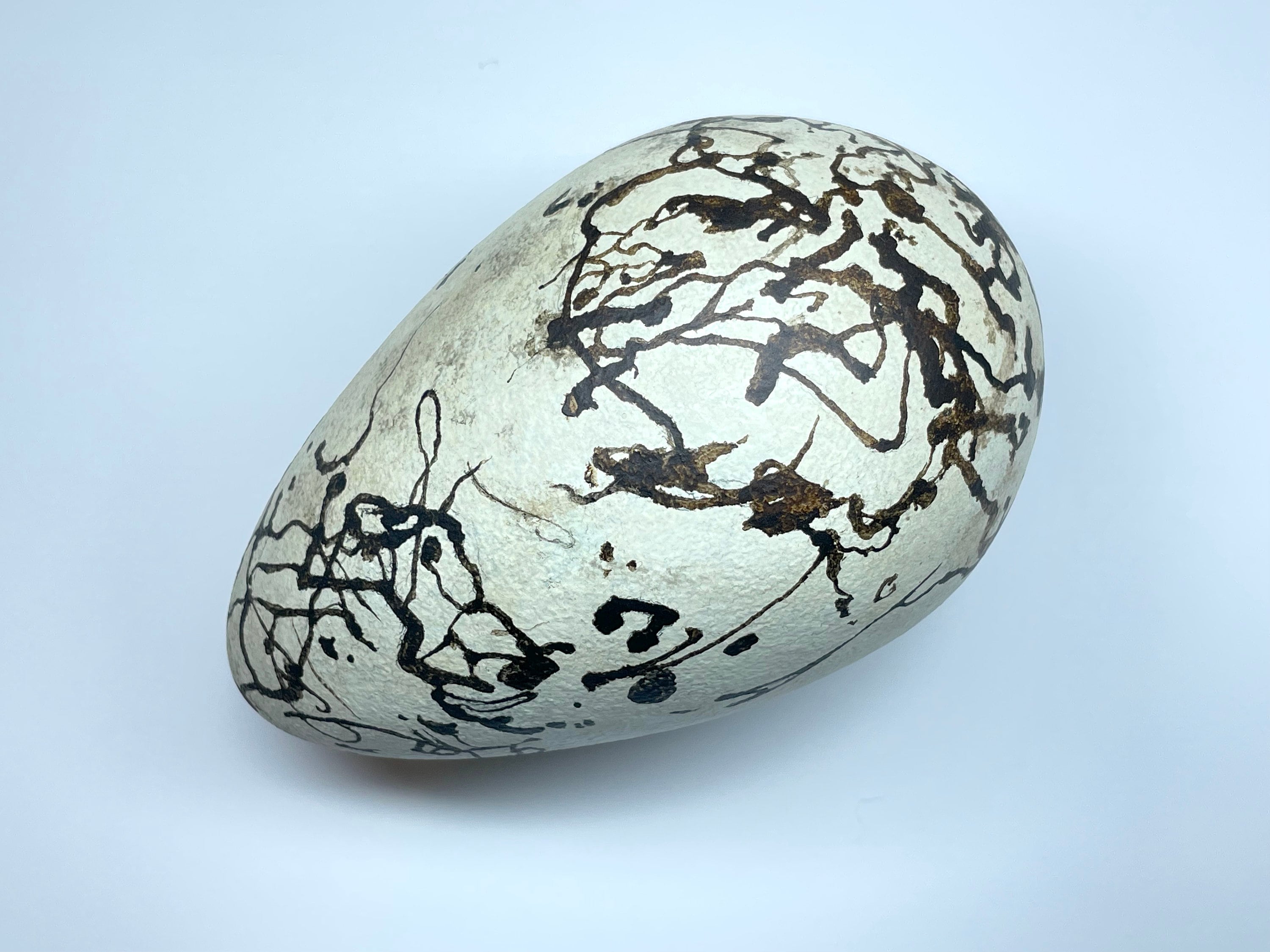 Extinct Great Auk - Shirley's Egg Replica - Etsy