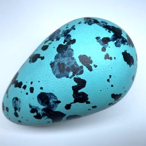 May include: A speckled, turquoise-colored egg with dark blue-black markings. The egg is oval-shaped and has a smooth surface. The egg is a decorative item, possibly for Easter or home decor.